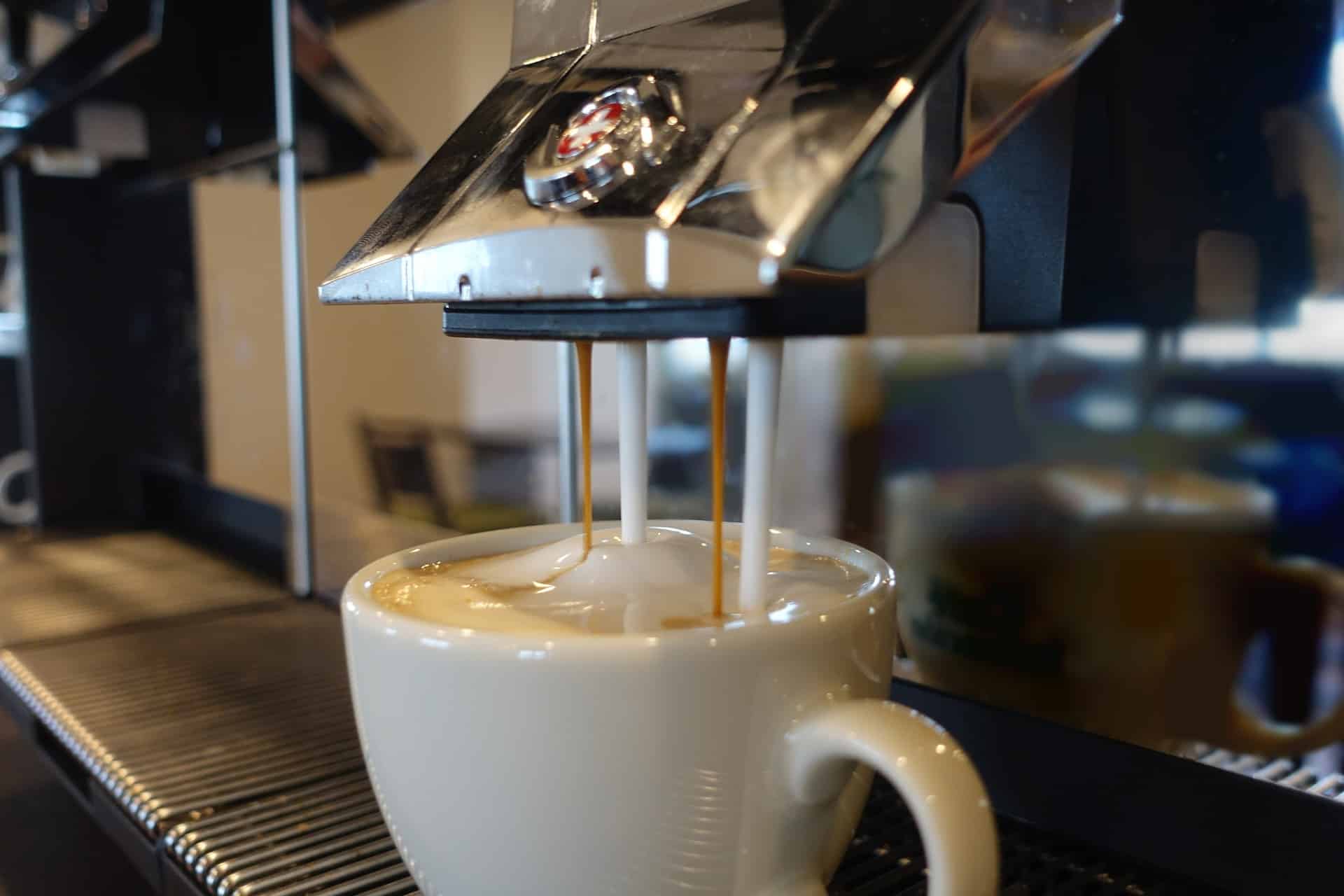 Coffee machines like this use a lot of seals for white goods