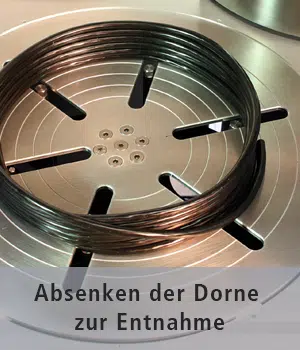 Doppelwickler mit abgesenkten Dornen