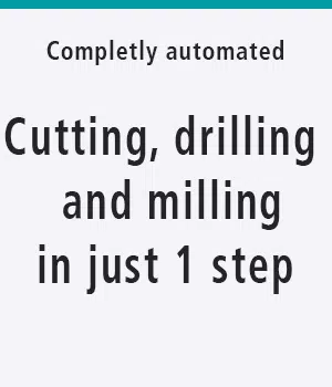 Profile cutting, drilling and milling in just 1 step