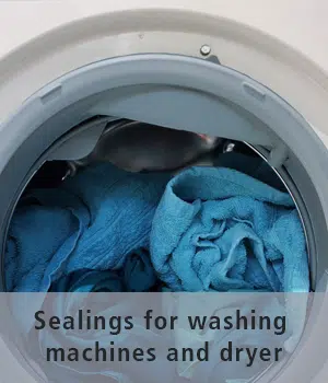 View inside an open washing machine with door and sealing